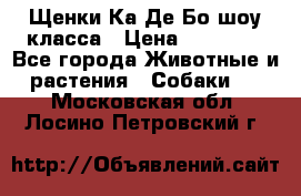 Щенки Ка Де Бо шоу класса › Цена ­ 60 000 - Все города Животные и растения » Собаки   . Московская обл.,Лосино-Петровский г.